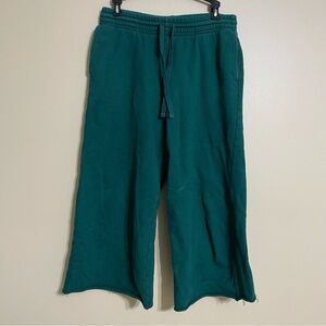 Girlfriend Collective Wide Leg Sweatpants Biome emerald green size medium